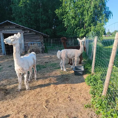 Heponiemen Tilan Kesaehuone Alloggio per agriturismo *