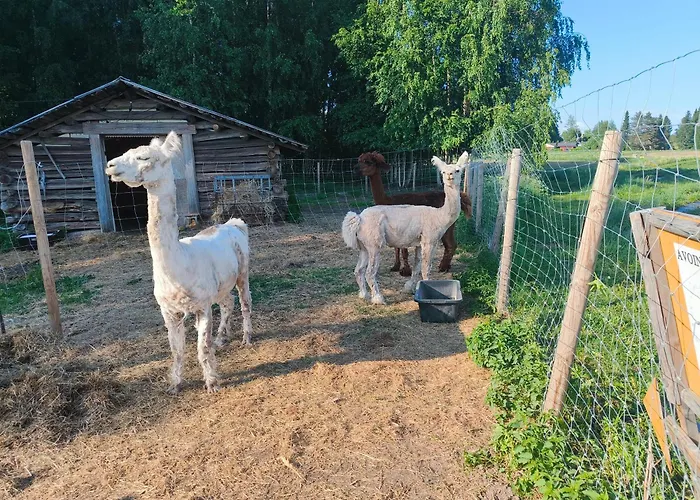 Heponiemen Tilan Kesaehuone ファームステイ *